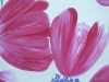 005 Tulpen nah; Ch. Maluck