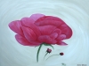 004 Pfingstrose 100x80 cm, Christiane Maluck