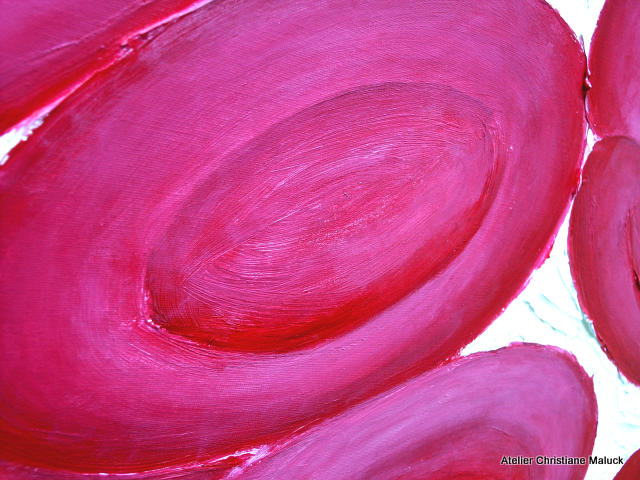 009 Detail: rote Blutkörperchen, 100x80 cm