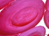 009 Detail: rote Blutkörperchen, 100x80 cm