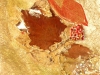 015 Detail Herbst,, Collage mit Blatt und Früchten